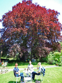 Taking a break at the Les 4 Vents(The 4 Winds)