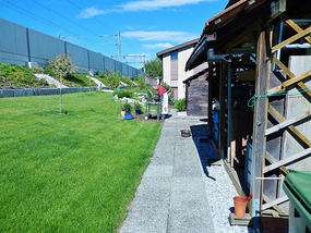 Romy and Bernard's back yard