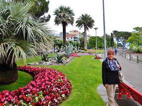 Flowers along the lake