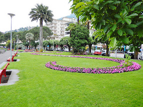 Locarno flower design