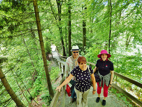 Hiking up a steep trail to the outlook tower