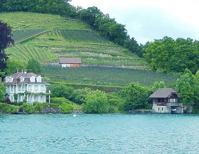 Big and small houses are along the way