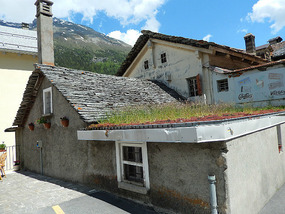 Why not grass on the roof?