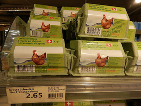 Fresh eggs:  $8.88 per dozen