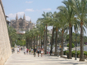 Palm street leading the the cathedral
