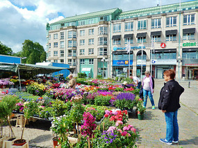 Flower market