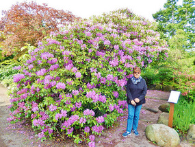 Flowers everywhere