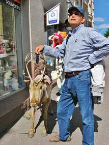 A doe, a deer.....