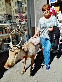 A deer and a dear !