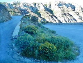 ROAD UP THE MOUNTIAN HAS LOTS OF CURVES