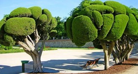 RETIRO PARK