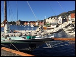 Bergen Harbour overlooking Bryggen