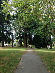 Clark Park, near my house