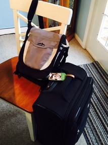 Carry on suitcase and day bag