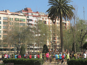 the Parc with the runners