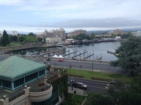 An empty marina