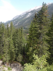 Spiral tunnel - train visible in three tunnels