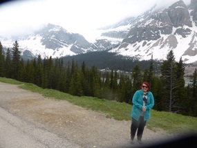First look at glaciers of Icefields