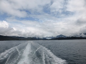 Heading out looking for whales