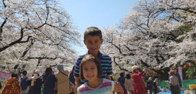 Hanami