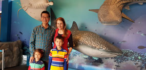 Osaka Kaiyukan Aquarium