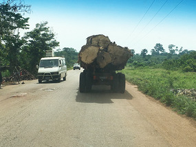 Logging trucks are becoming common here now