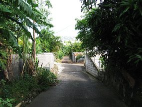 The steep street where the Prodigues live