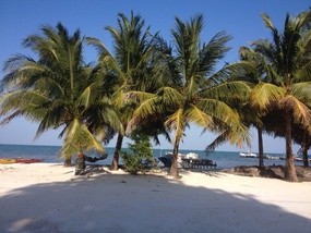 At the Island