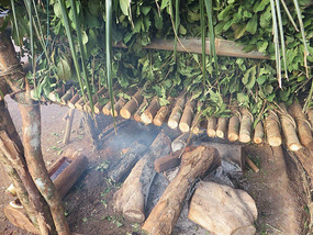 Carijo