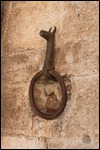 Horse Ring