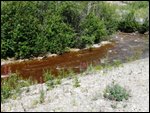 Bonanza Creek