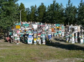 Sign Post Forest