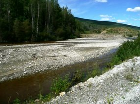 Bonanza Creek