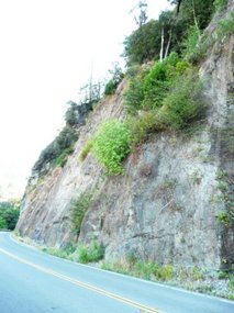 Highway 101