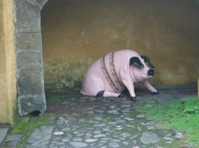 Roger, this pig is for you.