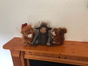 Jimmie & Willie found a friend on the mantelpiece.