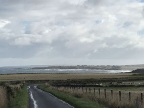 Taken along the road from where we stayed.