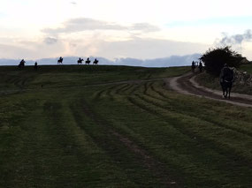 The Gallops.