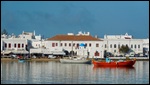 Harbor