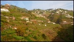 Madeira hillside