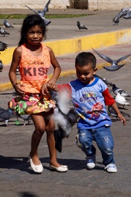 Playing with the pigeons in the park.