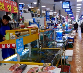 Noryangjin Fish Market