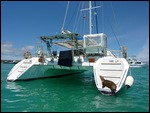 Day 1 Galapagos and 1st Sea Lion