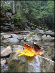 stream south west from Yaremche