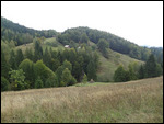  collline arrondie