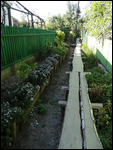 passerelle Vylkovo