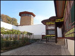 house and garden