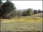 ait petri plateau, mushroom area