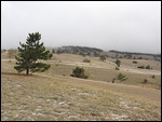 paysage austère 