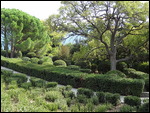 jardin Vorontsov